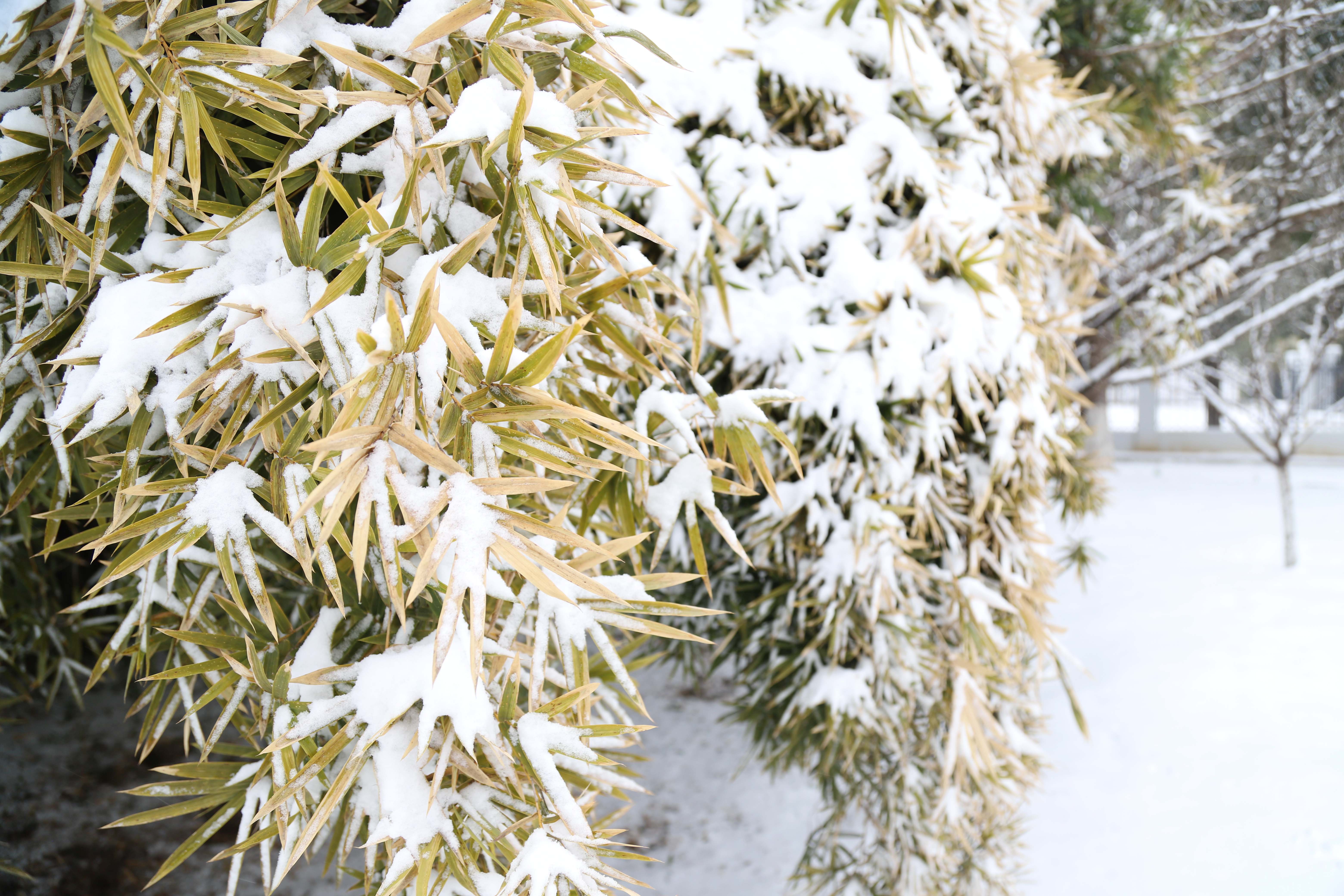 ������ʱ�������ǲ���(�й���)�ٷ���վ